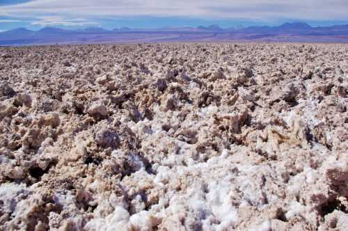 TREKKING NEL DESERTO DI ATACAMA 2015